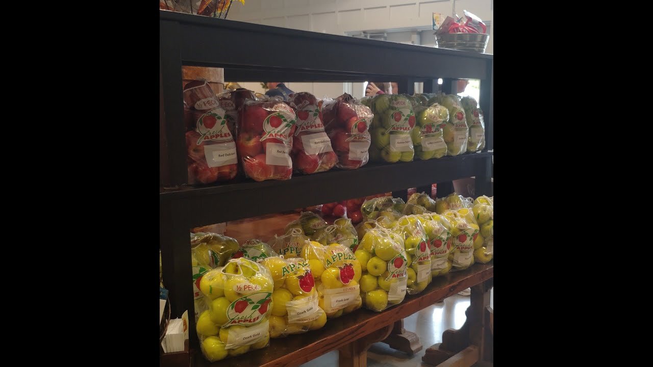 Ep 41 An Apple a day!