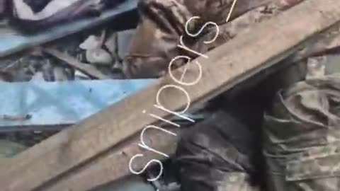 Three weaklings from Pokrovsk