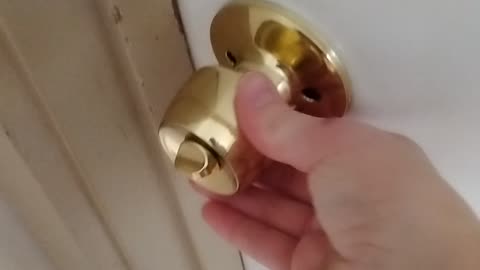 Shia, video recorded 2:20 PM Jan 13, '26 by Alyssa