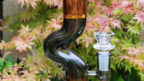 ✨ New Drop ✨Phoenix Star Zong Bubbler Bong w/ Inline Perc #stonerfam