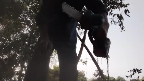 Land Preparation for Farming | Cutting Small Trees 🌿