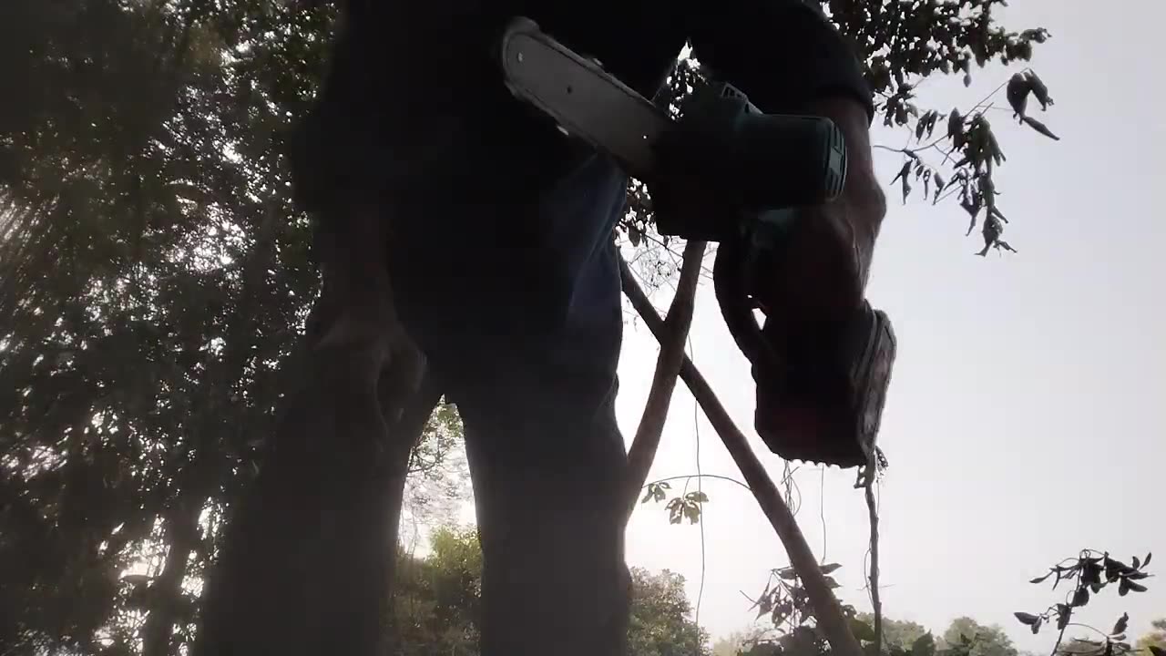 Land Preparation for Farming | Cutting Small Trees 🌿