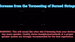 Screams from the Tormenting of Burned Strings (Soundtrack)