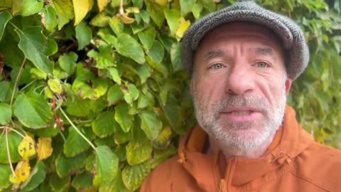 Are YOU joining us on 16 November? We want to see you! Alan Miller explains