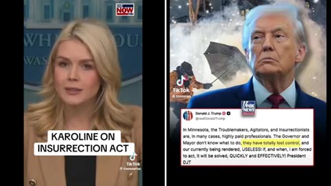 Leavitt - Insurrection Act ..