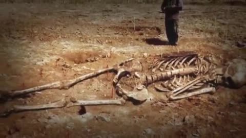 The Kandahar Giant Conspiracy - Forgotten History