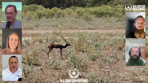 GunStuff LIVE #295: Maggie Reese, Able Child, Old Eighteen Defense, TNW Firearms, BOAR Products