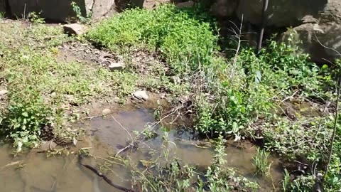 Exploring Nichols Park in Henryetta Oklahoma - Muscogee Nation -