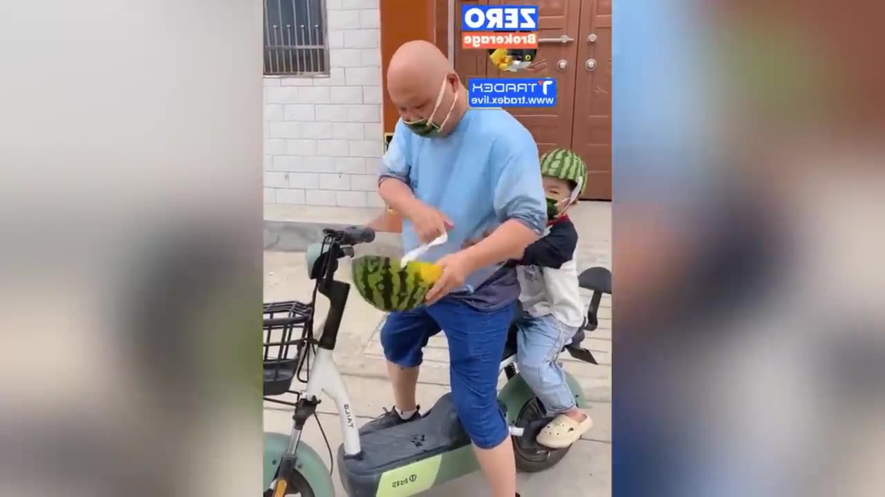 You’ll Be Laughing Nonstop! 😂 Funniest Video Compilation