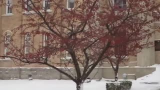 WHITBY'S HAUNTED CENTENNIAL THEATER