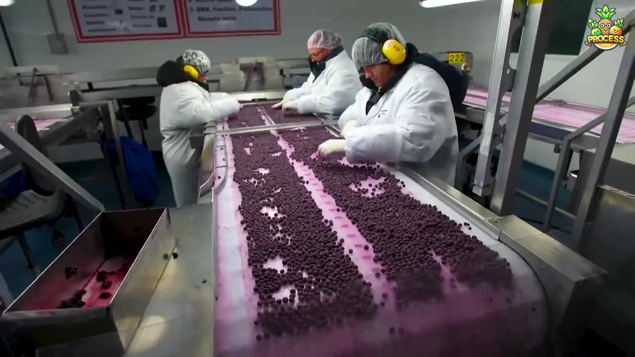 FROZEN FRUITS MEGA FACTORY : PROCESSING MILLIONS OF FROZEN FRUITS WITH MODERN TECHNOLOGY