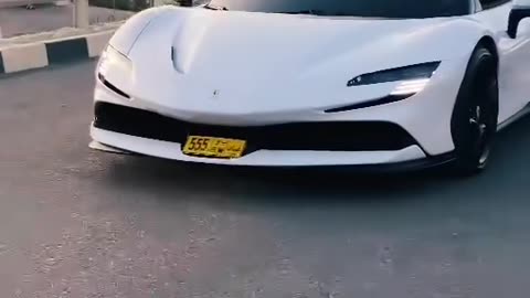 🤔💭 What's the SECRET behind this #report_test_001 Video? | LuxurySportsCars