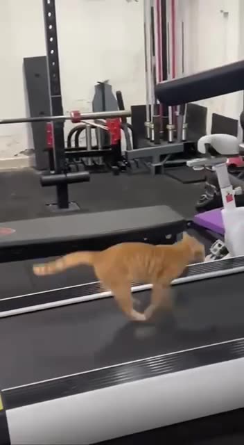 The commitment to exercise is strong 😊