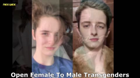 Porn Transvestigation 3/4 by NEXWEX