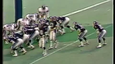 CFL 1982 EASTERN FINAL OTTAWA ROUGH RIDERS AT TORONTO ARGONAUTS