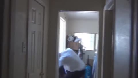 Roommates have a Dispute