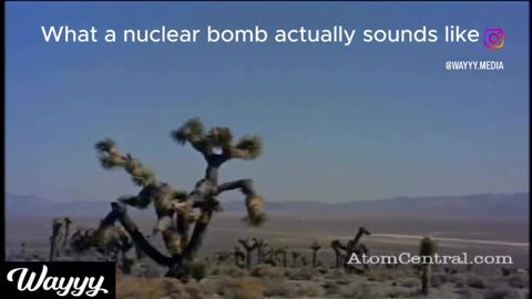 The bomb