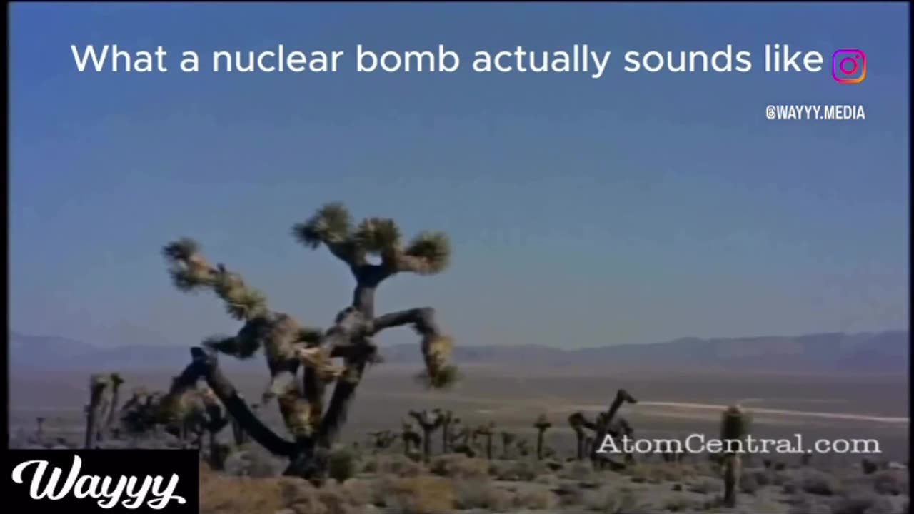 The bomb