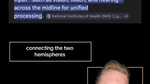 Egyptian Headdresses: Not What You Think (kinda)