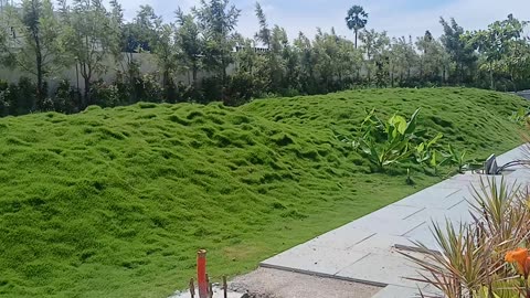 Lush Green Landscape Design | Beautiful Garden Aesthetics (Best for design/gardening channels)