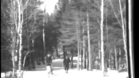 WINTER SPORTS IN THE WHITE MOUN... - WINTER SPORTS IN THE WHITE MOUNTAIN NATIONAL FOREST - 33-528-r2