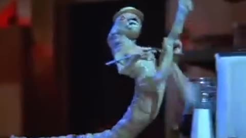 Dance the Night Away