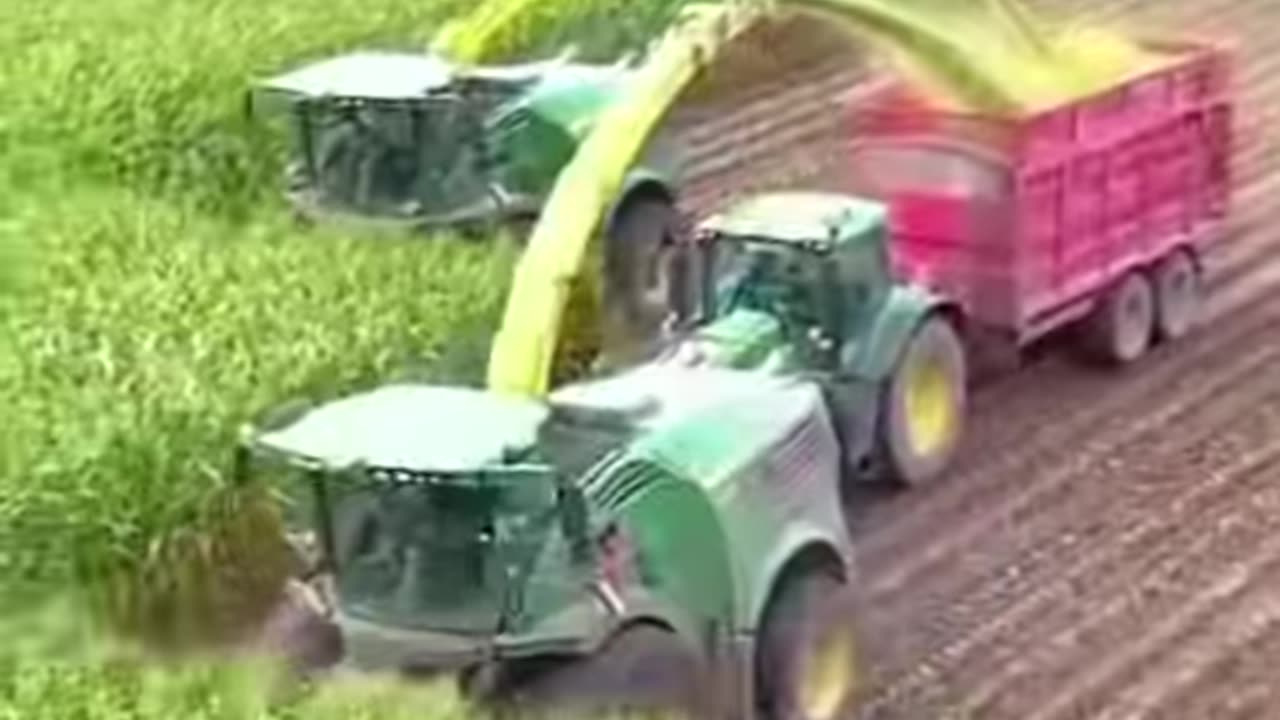 Brazil 🇧🇷 next target by trump