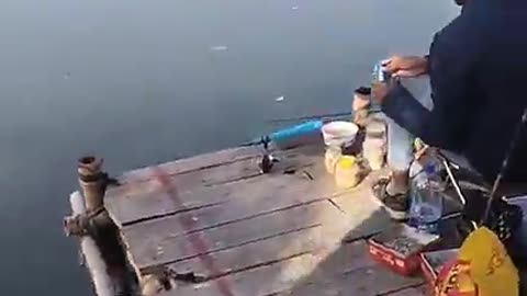 Fishing video