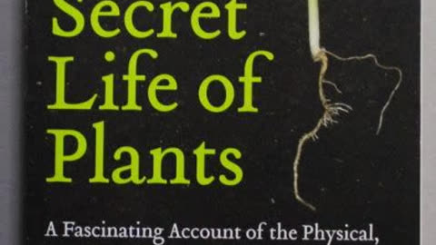 The Secret Life of Plants by Peter Tompkins and Christopher Bird | Summary