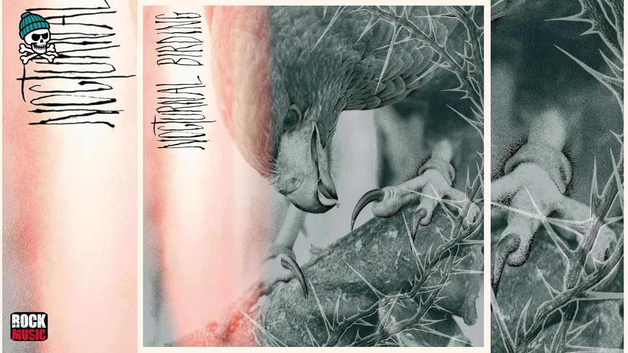 Author & Punisher - Nocturnal Birding (2025)