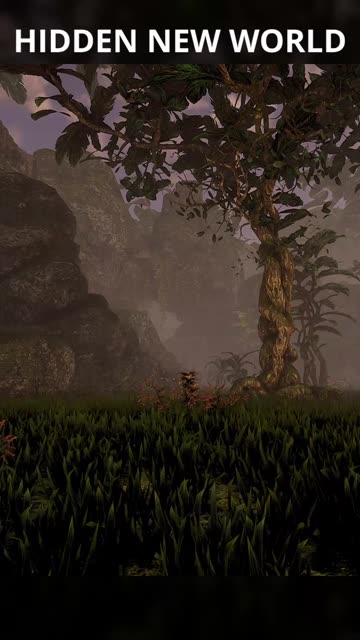 Hidden New World