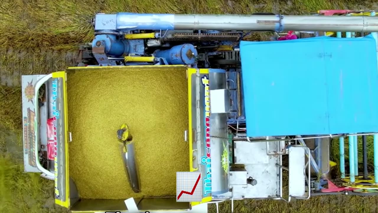 Nigeria's Rice Crisis: Prices Skyrocketing!
