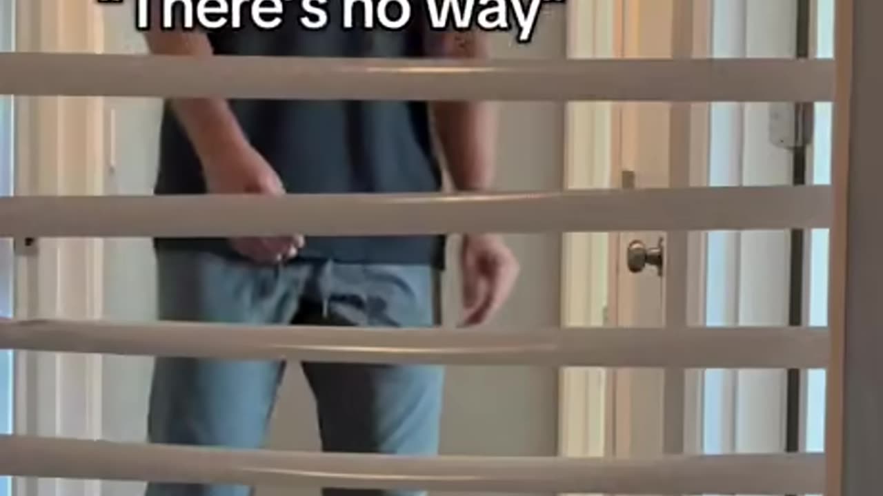 Cat Jumping Test Your Might