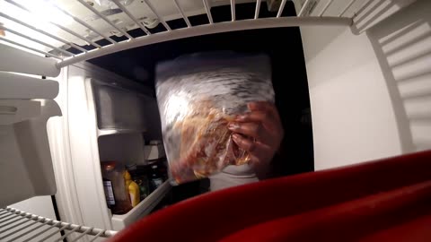 Night Growl ( Night Owl Auntie Hammy Parody )