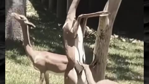 😱👻 Creepy Paranormal Video That Will Give You Nightmares! | TheHauntingHour