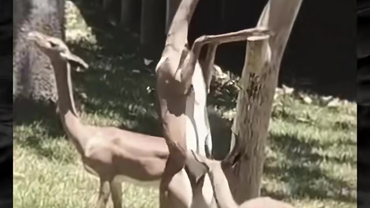 😱👻 Creepy Paranormal Video That Will Give You Nightmares! | TheHauntingHour