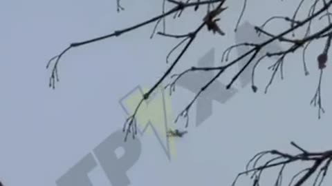 🛸🇷🇺 Ukraine Russia War | Russian Molniya Drone Deploys FPV Drones Over Kharkov | RCF