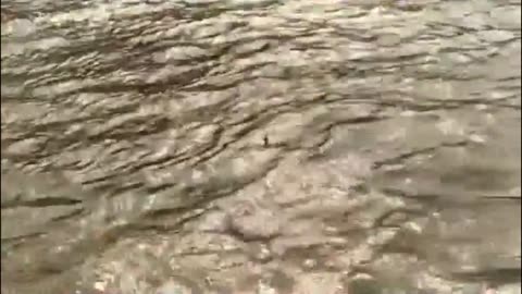 EKSTREMALNE POŁOWY 1 dokument pl