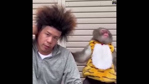 Monkeys reaction🙉