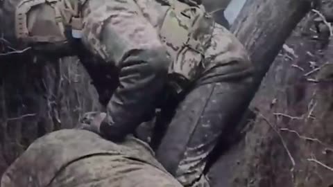 This is how the crests treat their buried brothers-in-arms. NiRabs, what the hell?