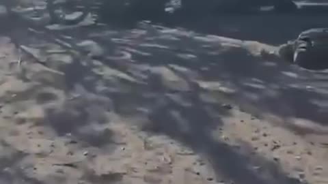 What's Left of a Russian Column