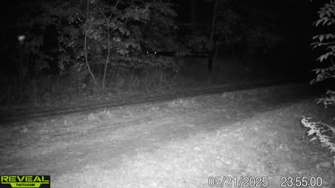 👻😨 What Do You Think This Is? Captured in Minnesota, US. | TheHauntingHour