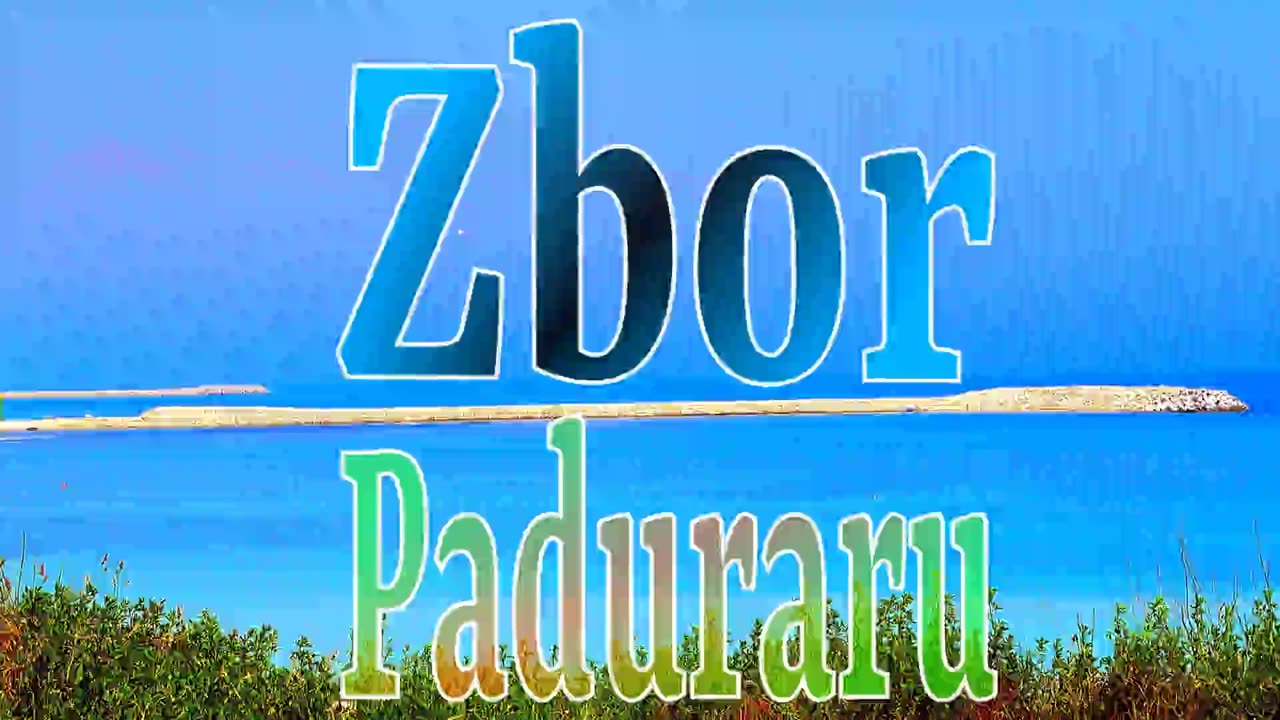 ZBOR PaduRaru GymHymnastic Song Dance Floor Music