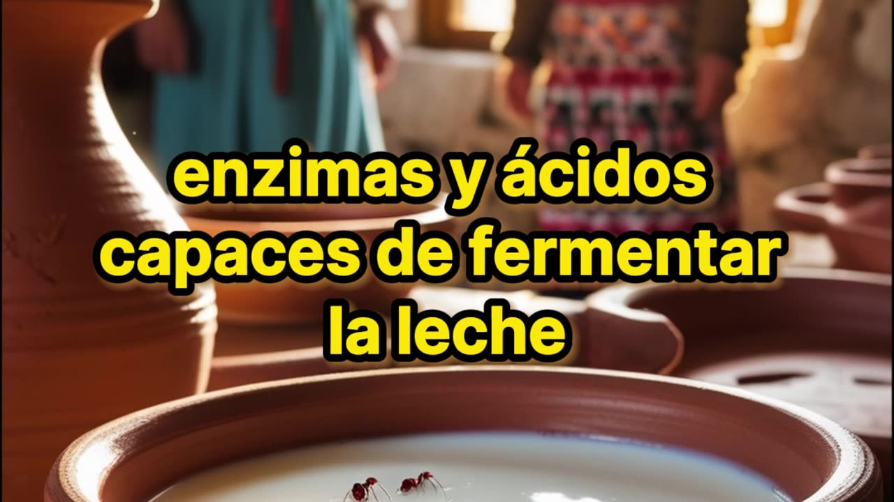 Una tradición balcánica insólita vuelve gracias a la ciencia.