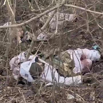 Ukraine war combat footage 10/4/25