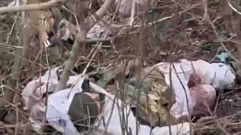 Ukraine war combat footage 10/4/25