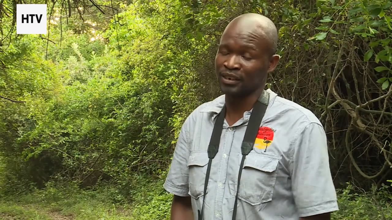 Eco Challenges That Change the Way You Travel