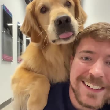 World’s Smartest Dog