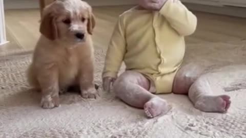 Baby fart plus puppy sneeze create a flour mess