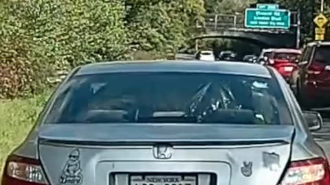 Watch the scammer’s reaction when he sees the dashcam.